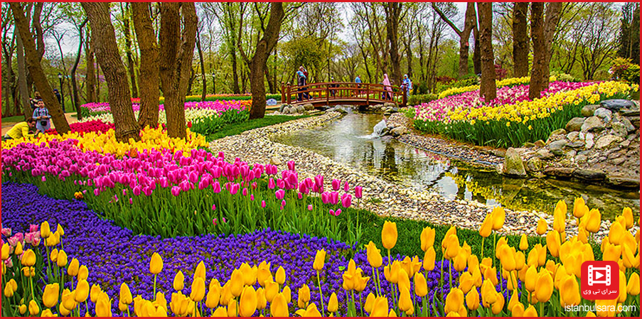 جشنواره گل لاله در پارک امیرگان استانبول