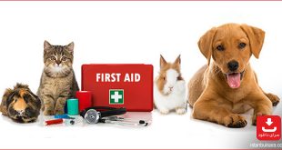 نگهداری از حیوانات خانگی با اپلیکیشن PET FIRST AID