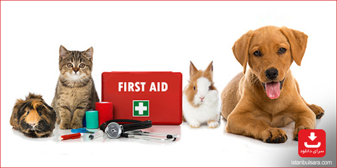 نگهداری از حیوانات خانگی با اپلیکیشن PET FIRST AID