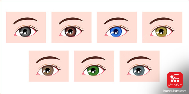 رنگ چشم ها در زبان ترکی استانبولی