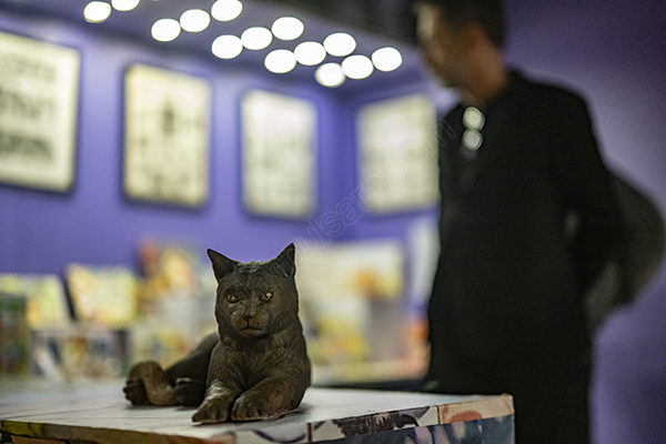 موزه گربه استانبول